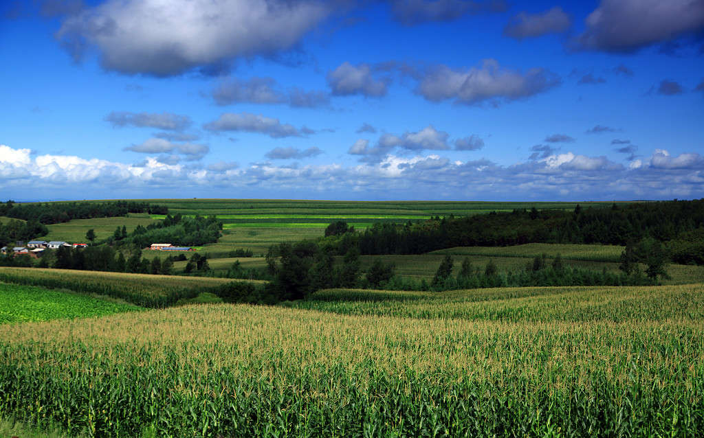 Rural landscape in Mudanjiang City, Heilongjiang Province