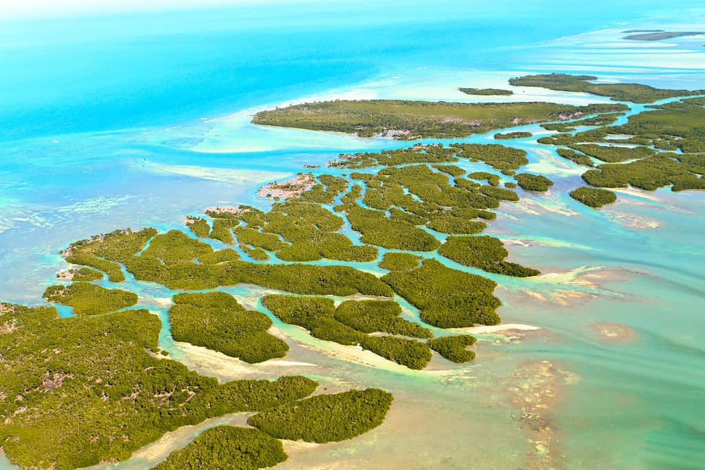 The Florida Keys are low-lying islands found in shallow waters