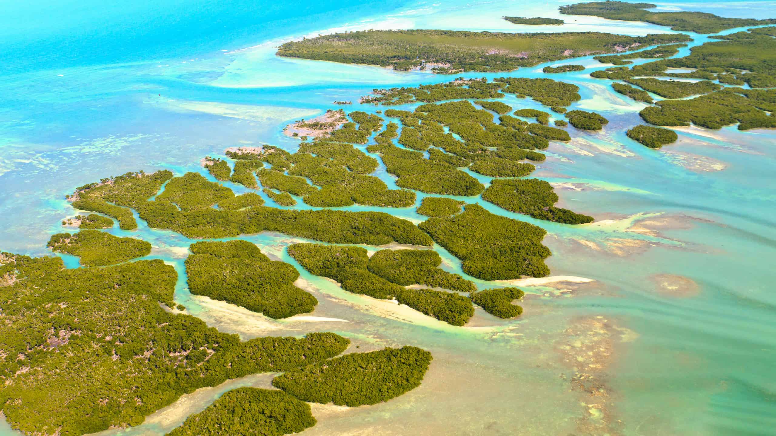 The Florida Keys are low-lying islands found in shallow waters