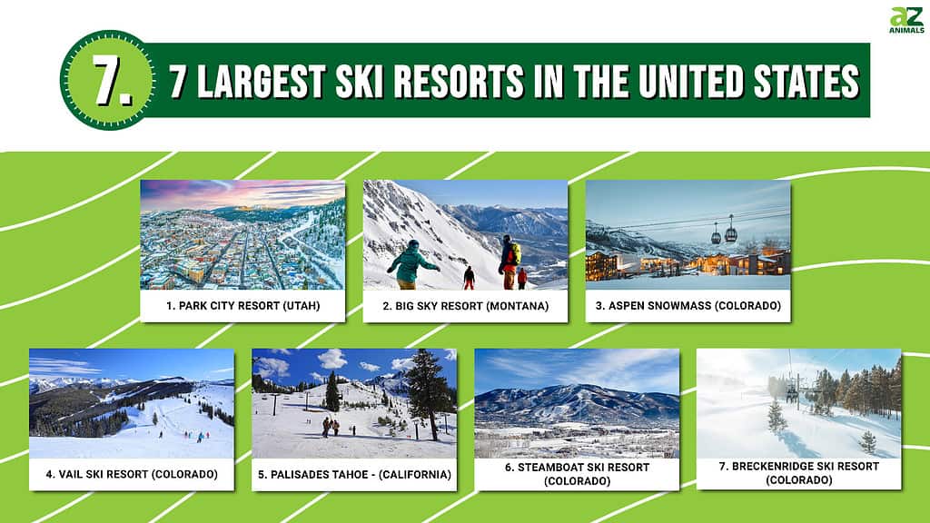 7 Largest Ski Resorts In The United