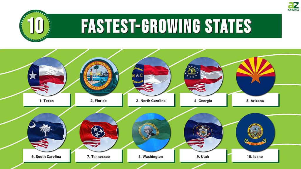 Infographic of the top 10 Fastest Growing States in the U.S.