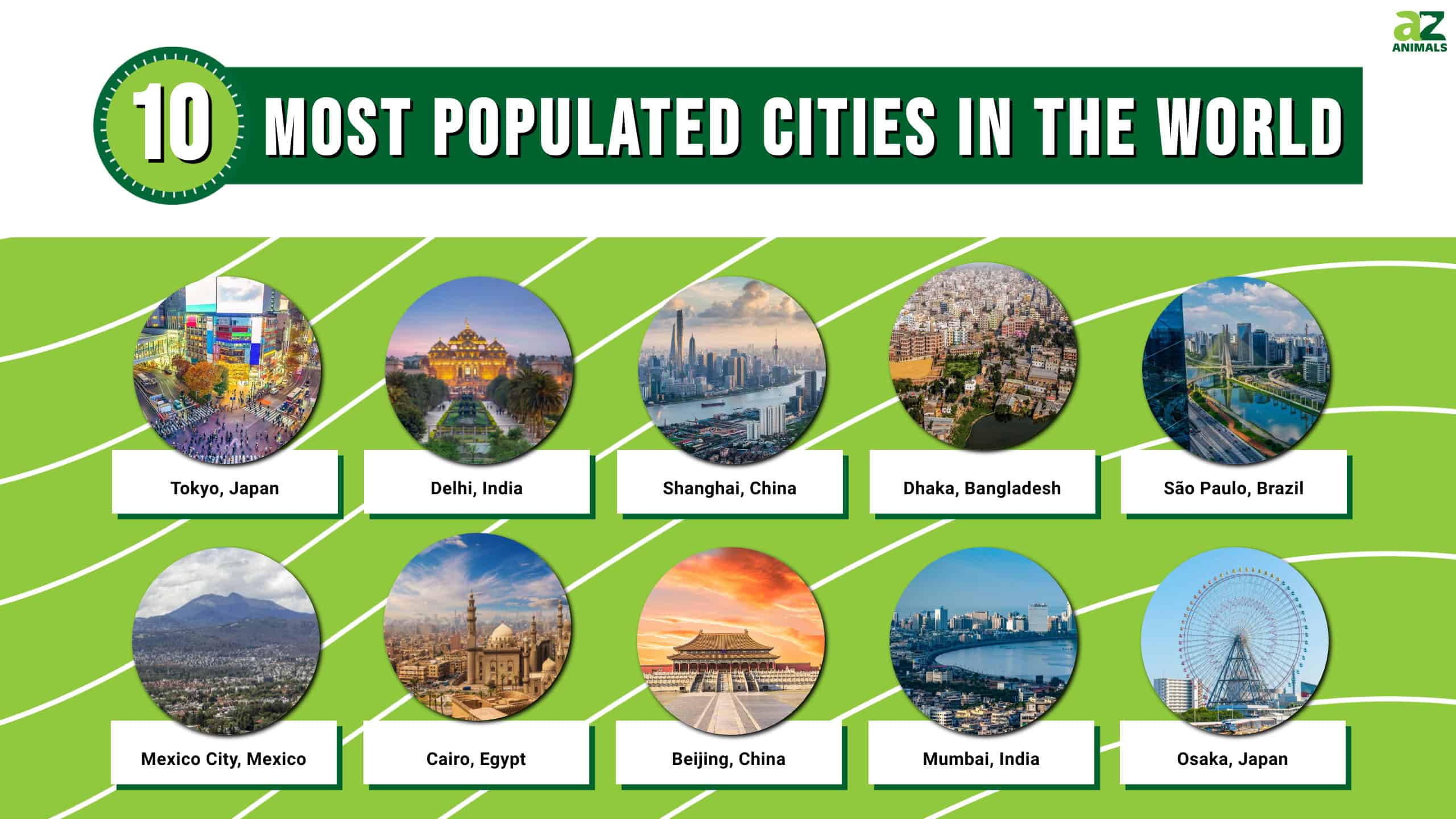 Most Populated Cities in the World infographic