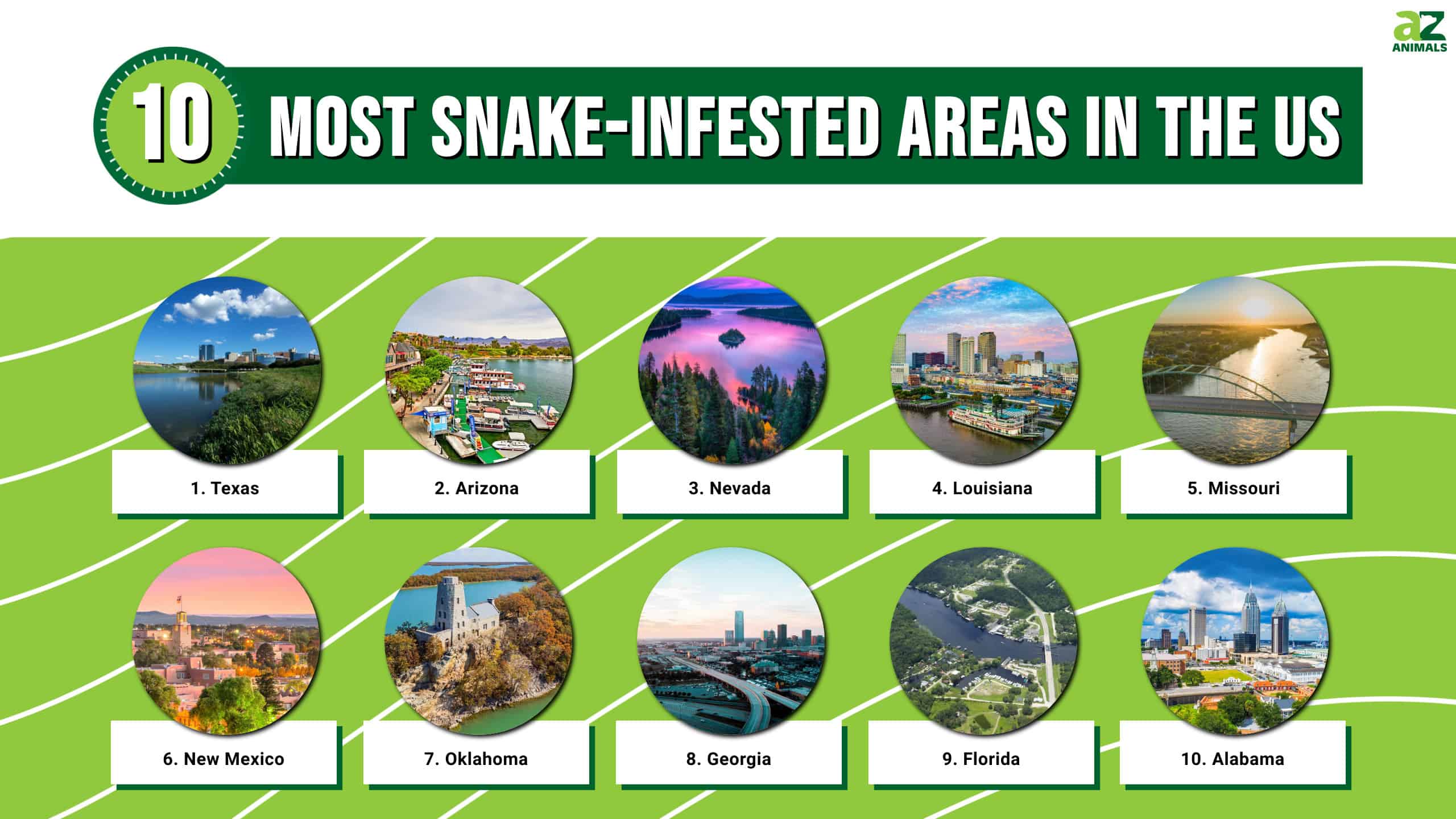 7 Countries With the Most Viper Sightings