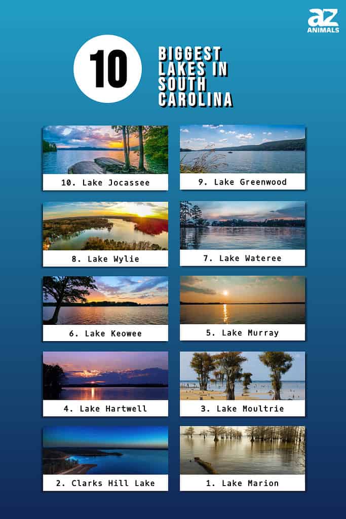 Infographic showing the ten largest lakes in South Carolina.