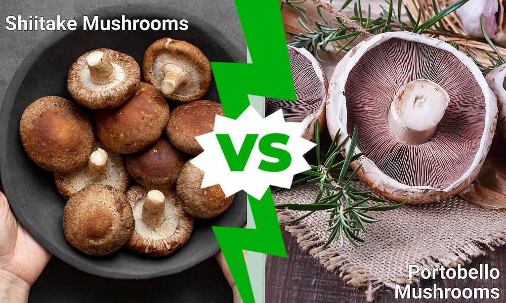 Shiitake vs. Portobello mushrooms