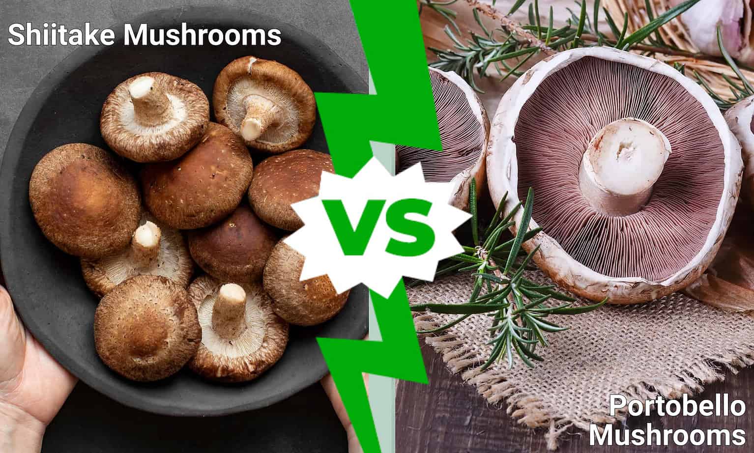 Shiitake Mushrooms vs. Portobello Mushrooms AZ Animals
