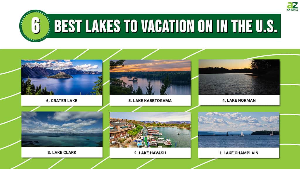 Infographic of the six best lakes to vacation on in the United States.