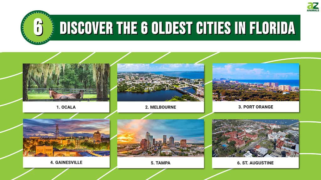 Discover the 6 Oldest Cities in Florida infographic