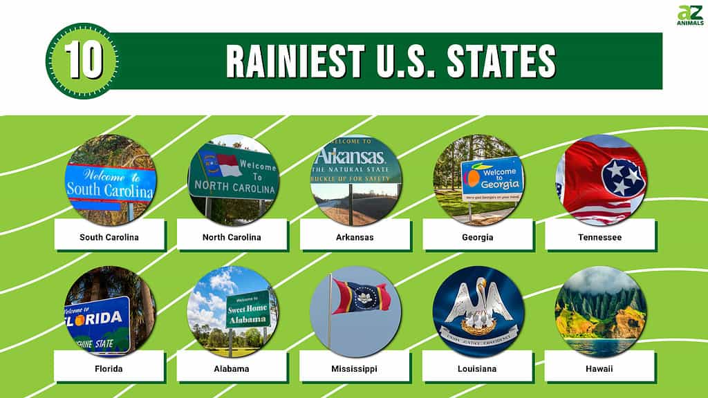 Rainiest US States infographic