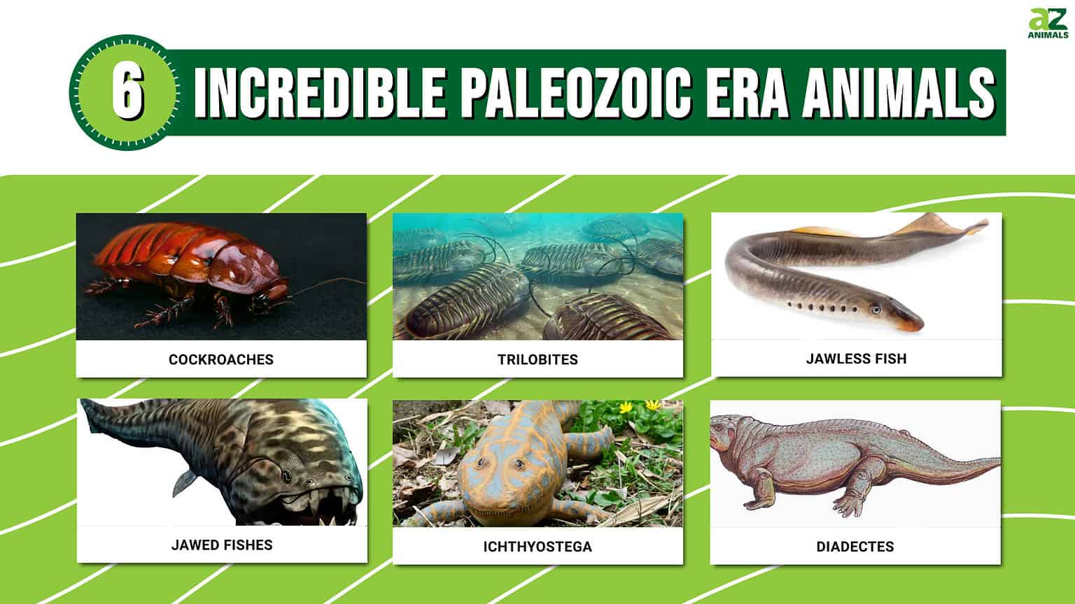 Discover 6 Incredible Paleozoic Era Animals - A-Z Animals