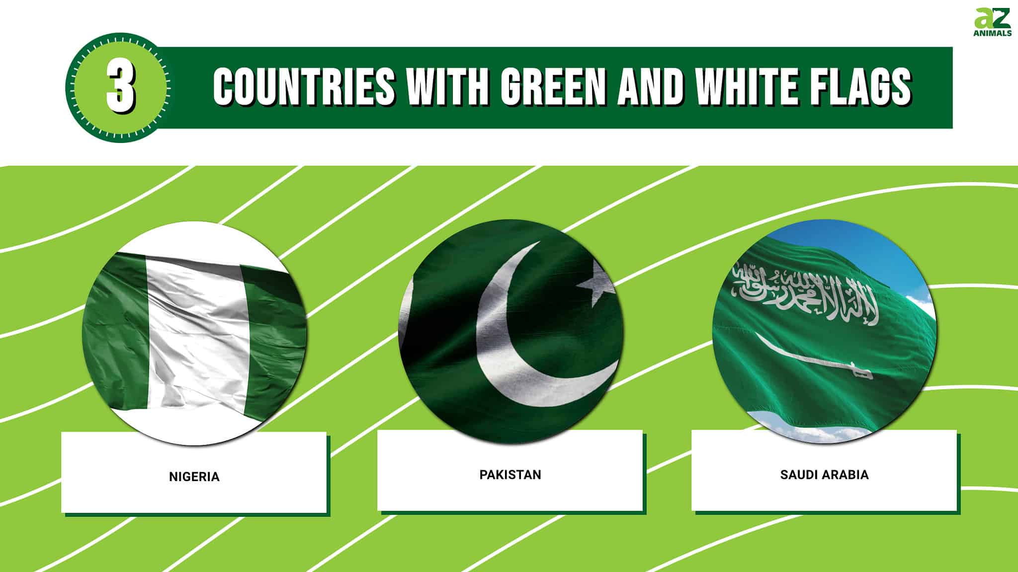 3 Countries With Green And White Flags A Z Animals   742557278c9772009d4d95c9a1ba892cd74c7b49 2048x1152 