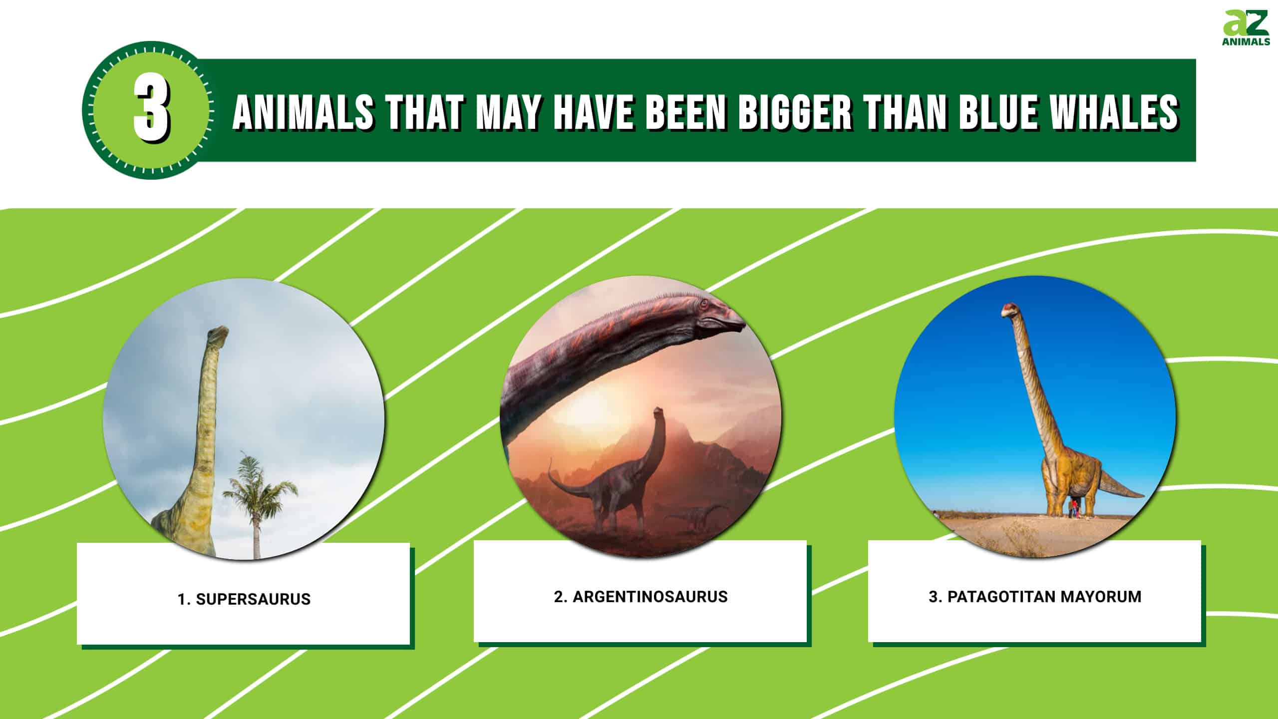 3 Animals That May Have Been Bigger Than Blue Whales - A-Z Animals