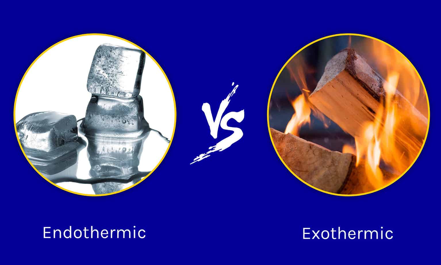 Endothermic vs. Exothermic Reactions Key Differences and Examples A