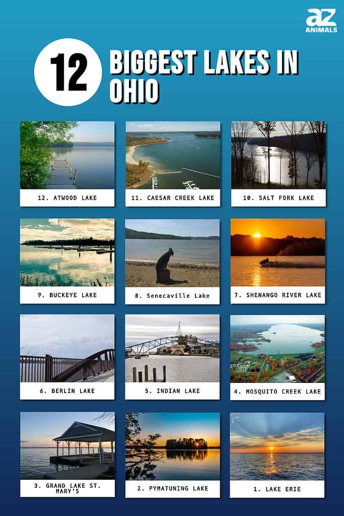 Infographic showing the twelve largest lakes in Ohio.