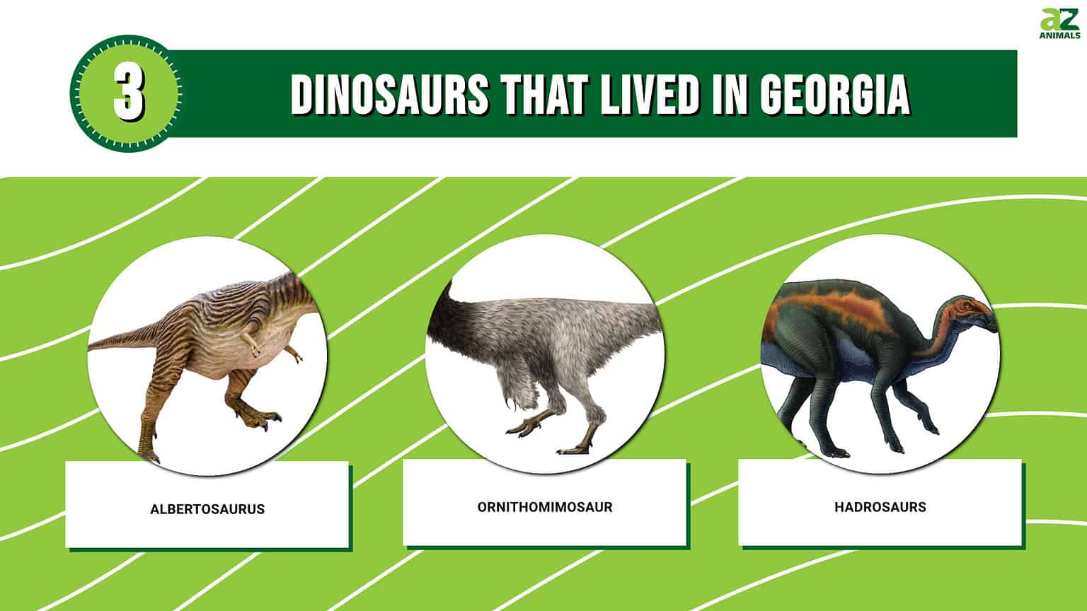 3 Dinosaurs That Lived in (And Where to See Fossils Today) A