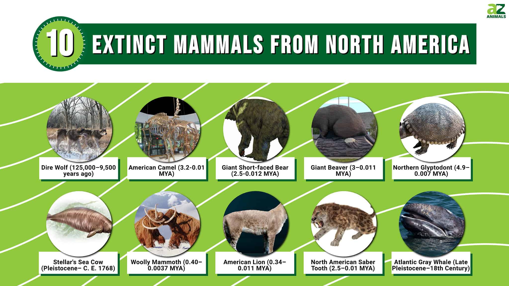 10 Extinct North American Mammals AZ Animals