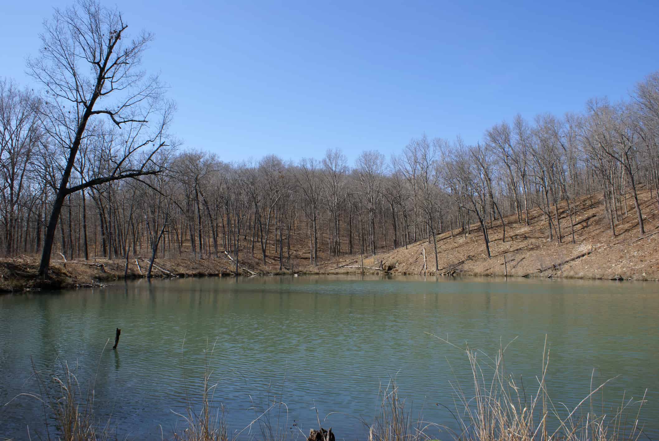 Blue Pond, Missouri, Created during 1811-1812 New Madrid earthquake