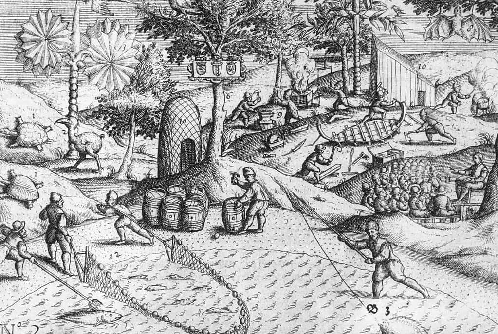 Copper engraving (made in the Netherlands) showing Dutch activities on the shore of Mauritius, as well as the first published depiction of a dodo bird (Raphus cucullatus), on the left. The now extinct tortoise Cylindraspis and an unidentified Pteropus (bat) are shown as well.