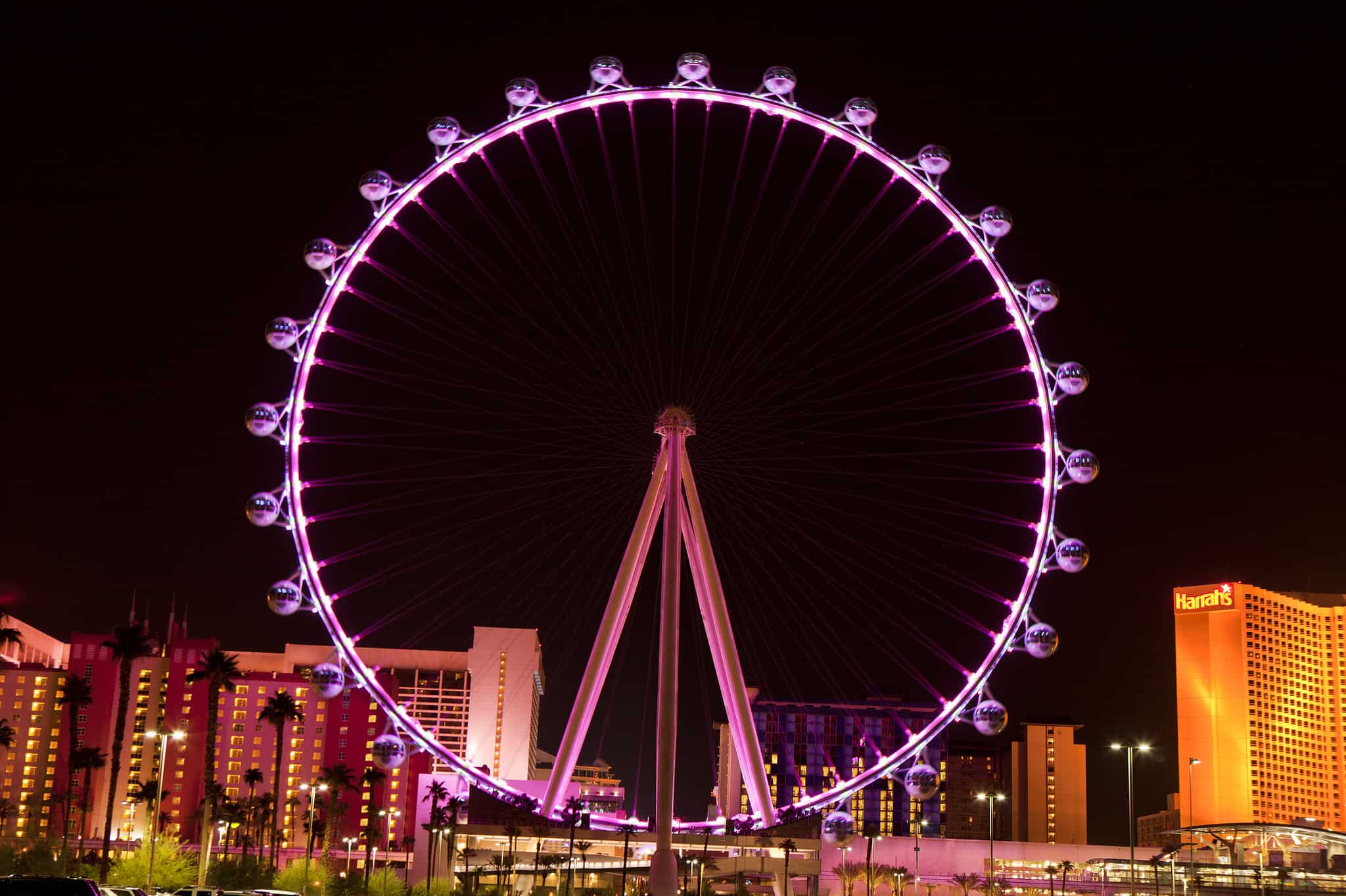 Discover The Top 10 Tallest Ferris Wheels In The United States - AZ Animals