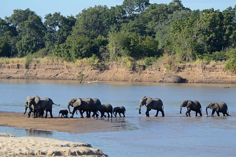 Luangwa River crossing