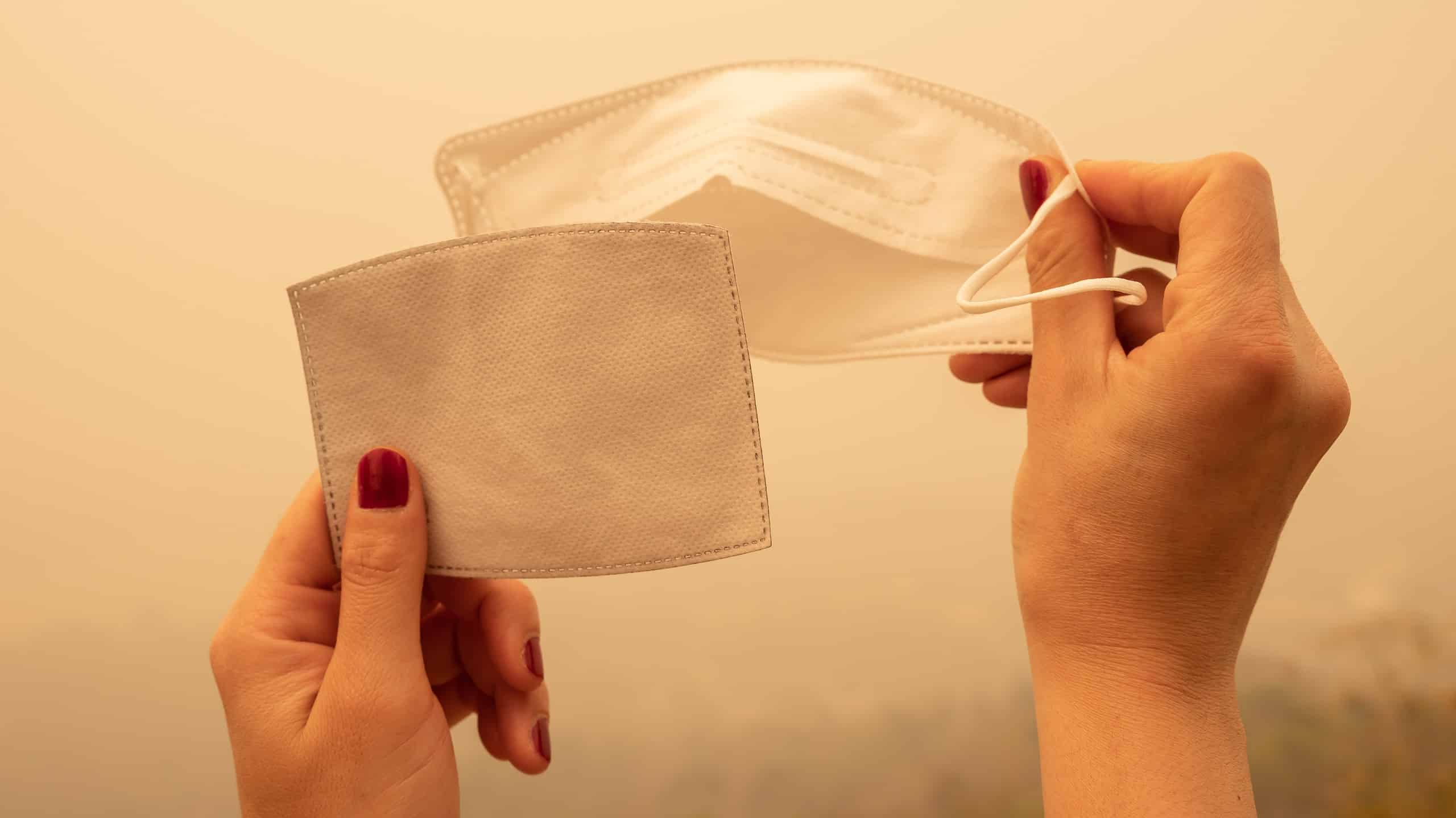 Discover The Georgia Town With The State s Worst Air Quality A Z Animals