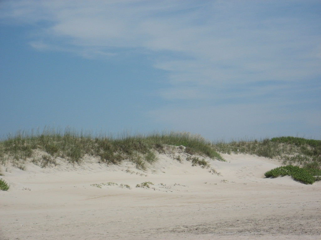 Sand dunes of Ocracoke Beach, on Ocracoke Island