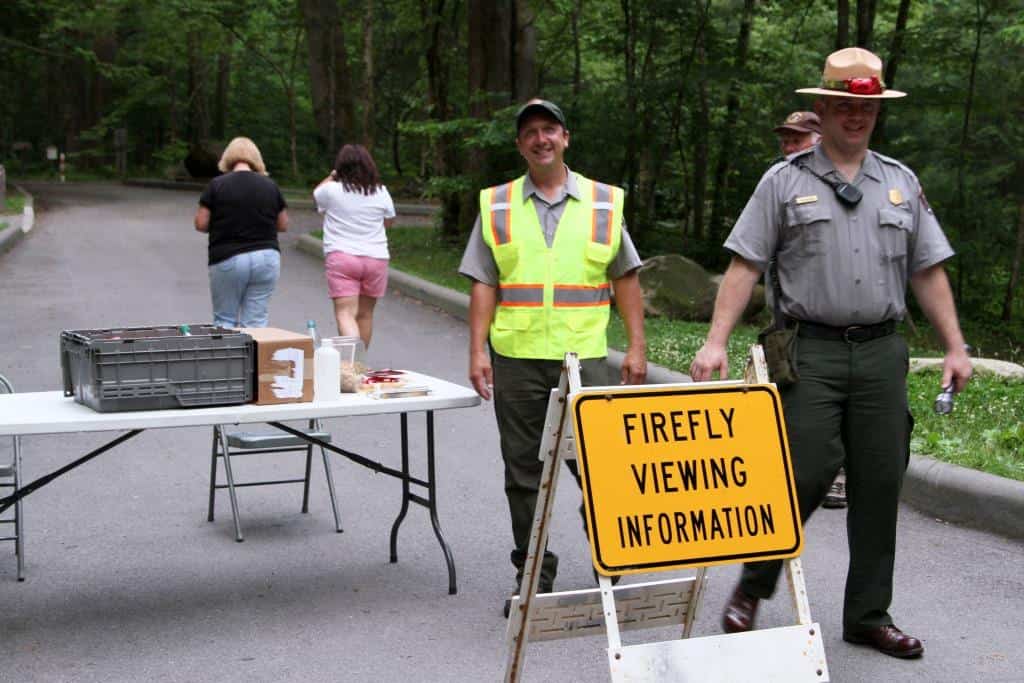 Rangers at synchronous fireflies info table, June 2013, Great Smoky Mountains National Park