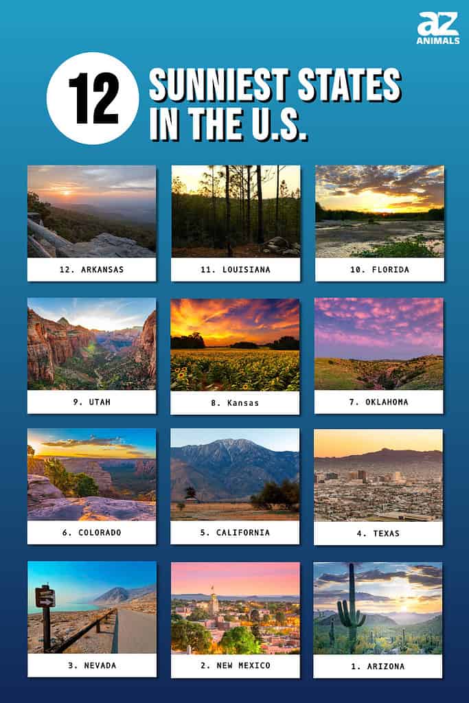 Infographic showing the twelve sunniest states in the United States.