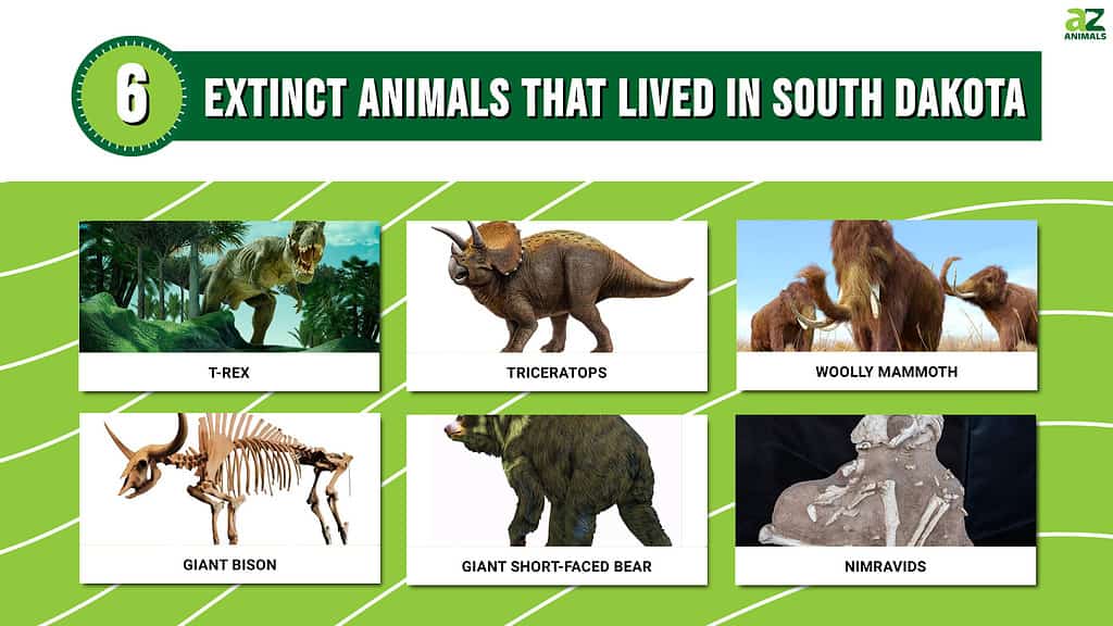 Infographic showing six extinct animals that once lived in South Dakota.