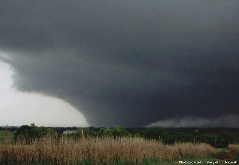 A tornado darkens the sky over a field of wheat.