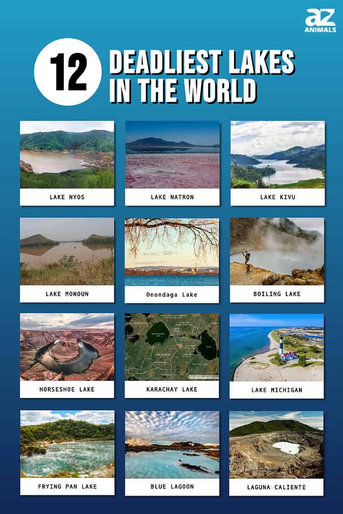 This infographic shows the twelve deadliest lakes in the world.