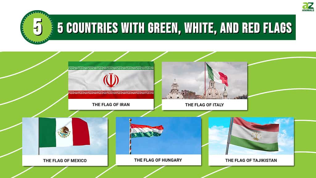 5 Countries with Green, Red - AZ