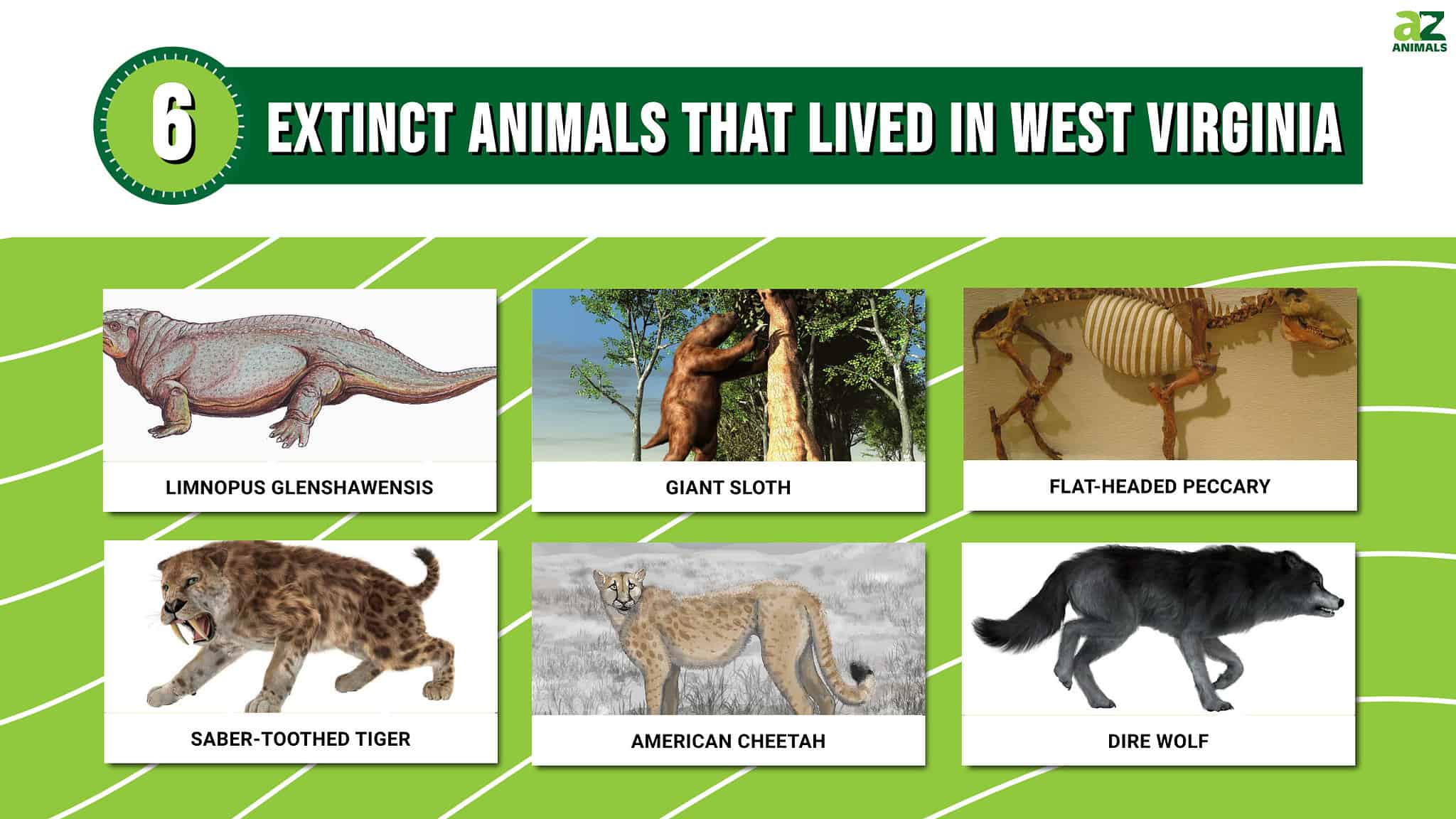 Discover 6 Extinct Animals That Lived In West Virginia - A-Z Animals