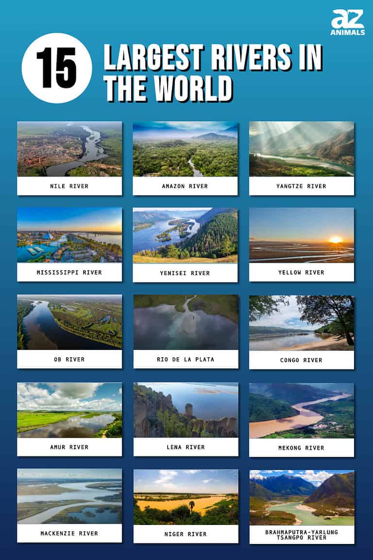 The 15 Largest Rivers in the World in 2024 - A-Z Animals