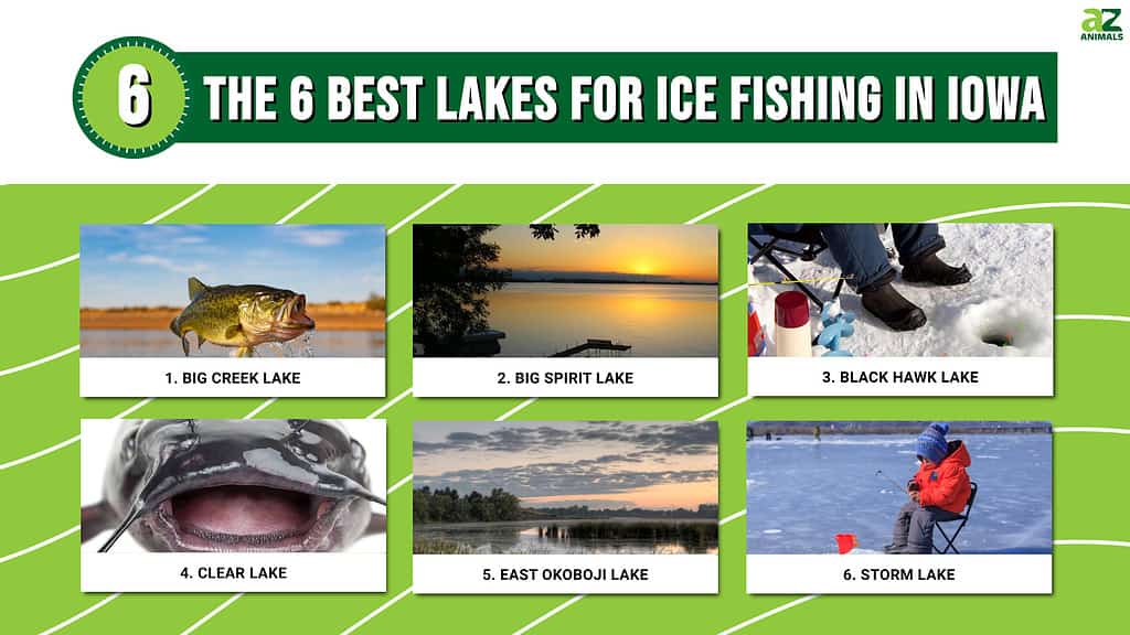 The 6 Best Lakes for Ice Fishing in Iowa infographic