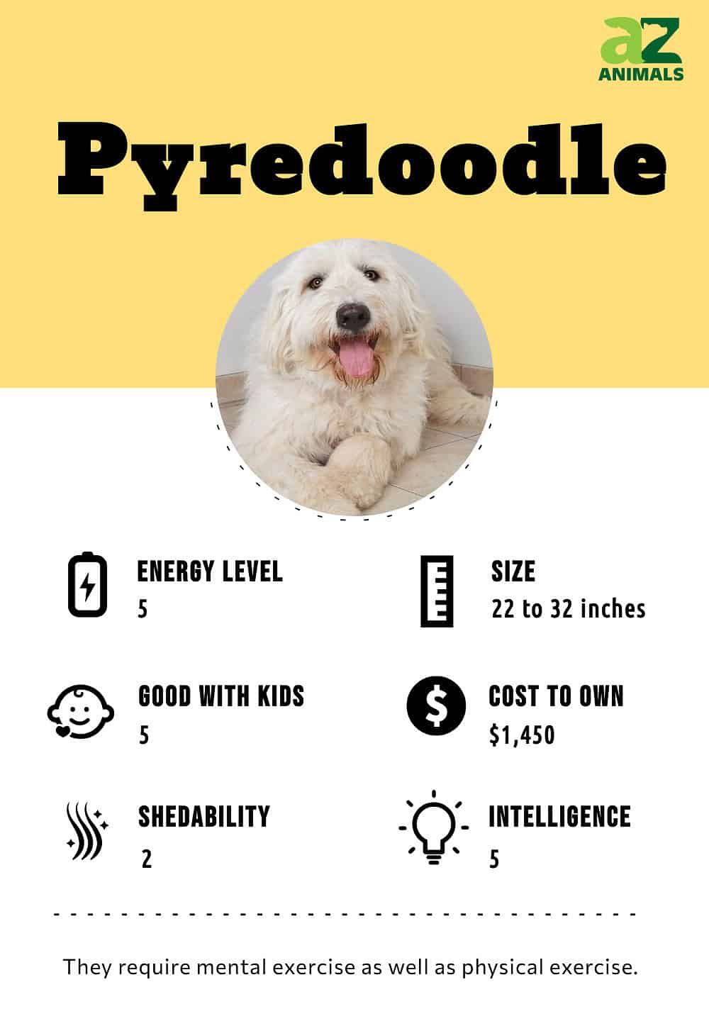 Pyredoodle temperament store