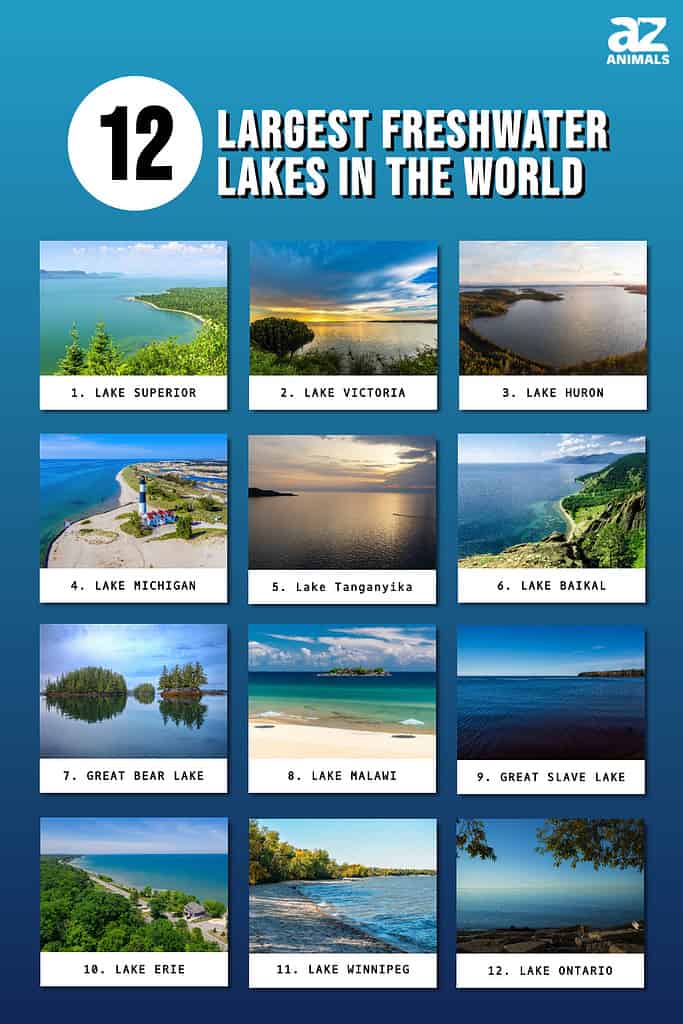 Infographic showing the twelve largest freshwater lakes in the world.