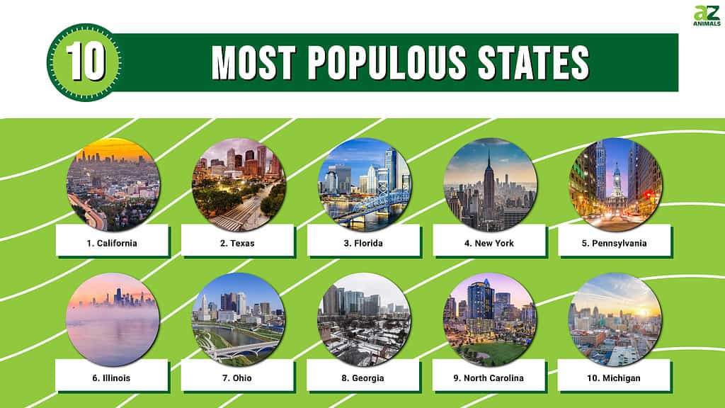 An infographic on the most populous states in the United States