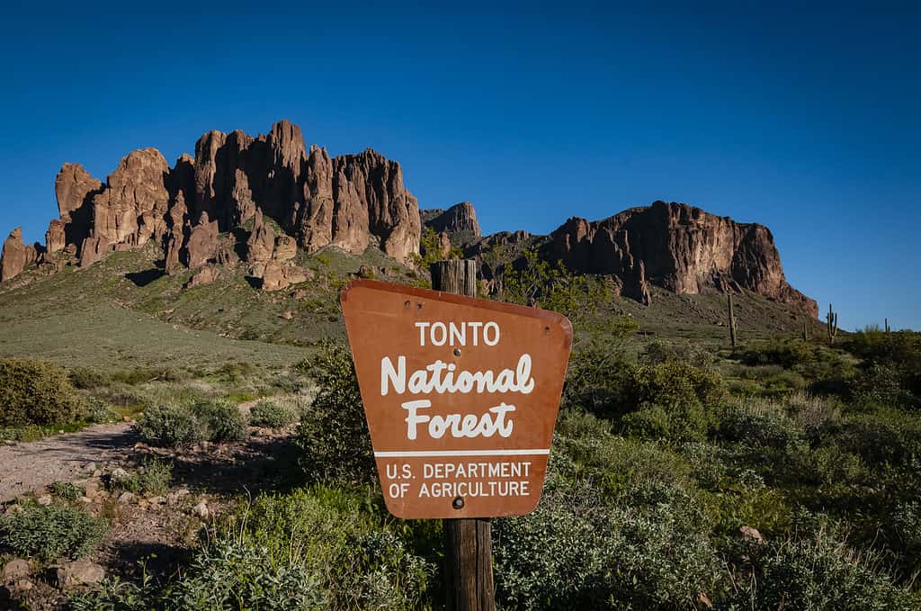 Tonto Basin, AZ is located next to Tonto National Forest