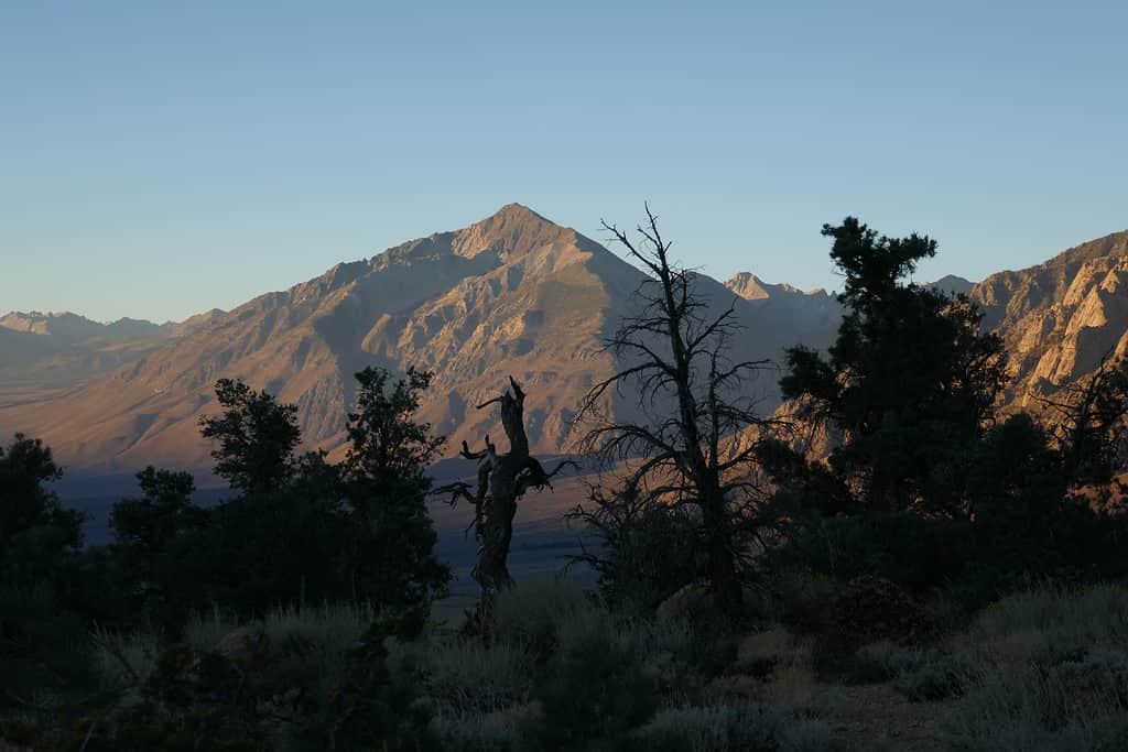 Mount Williamson in the Sierra Nevada Mountains