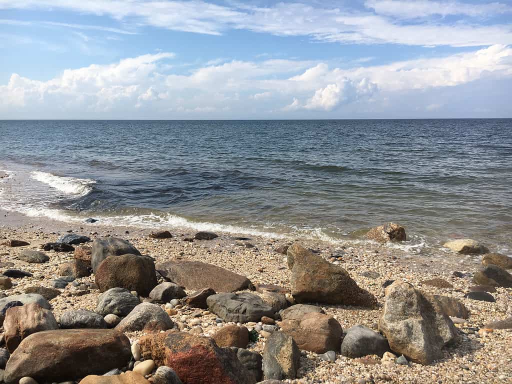 Wildwood Beach in New Jersey Is 5 Miles of Splendor - A-Z Animals