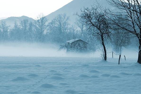 inclement-weather-meaning-definition-and-impact-az-animals