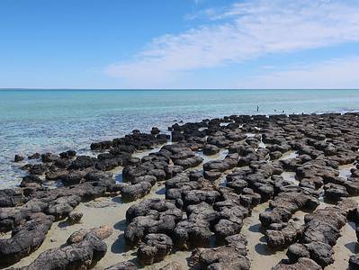 A Stromatolite Quiz: How Much Do You Know?