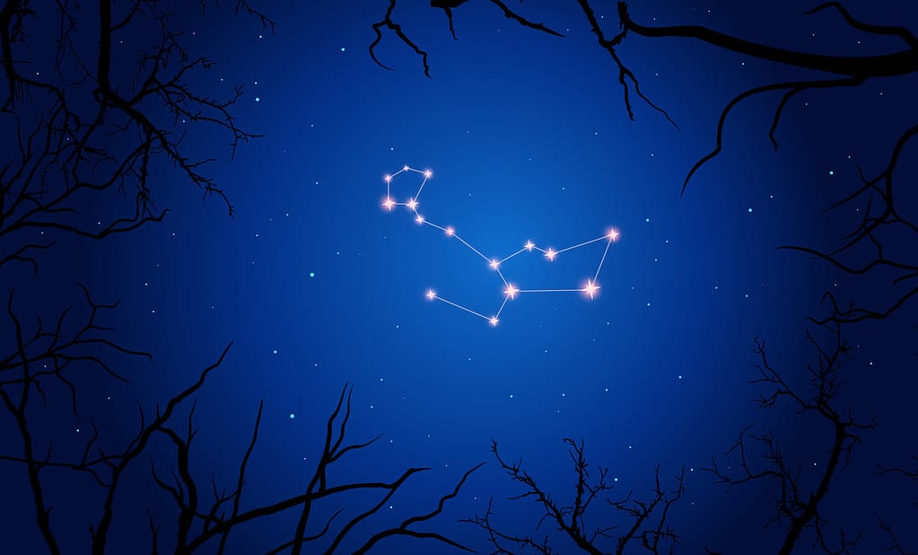 A digital painting depicting the constellation Cetus.