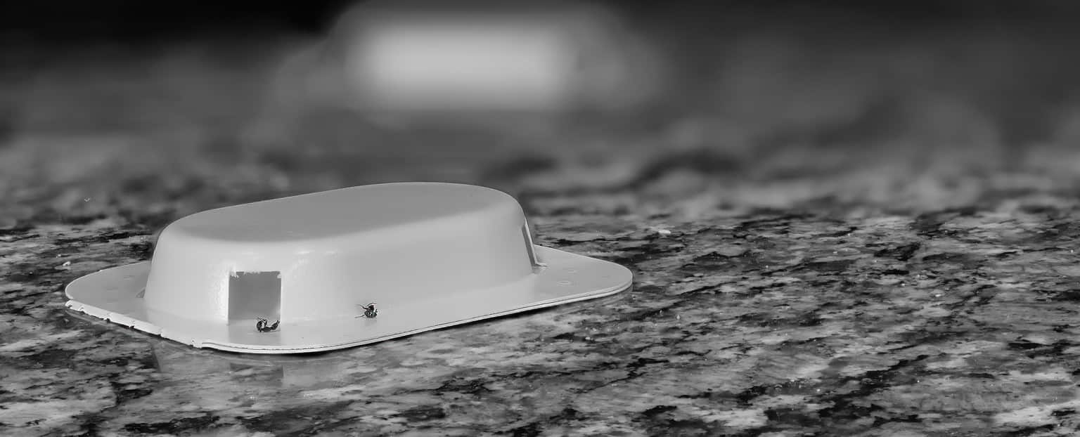 The 14 Most Effective Ways to Get Rid of Ants in Your Trash Cans AZ