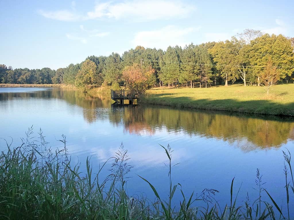 Lake in Central Mississippi