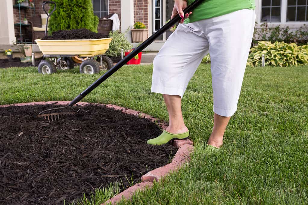 Which Is More Useful, Rubber Mulch or Wood Mulch?
