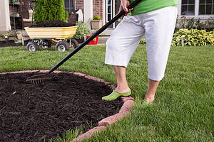 6 Reasons Laying Mulch in the Fall Is a Terrible Idea Picture