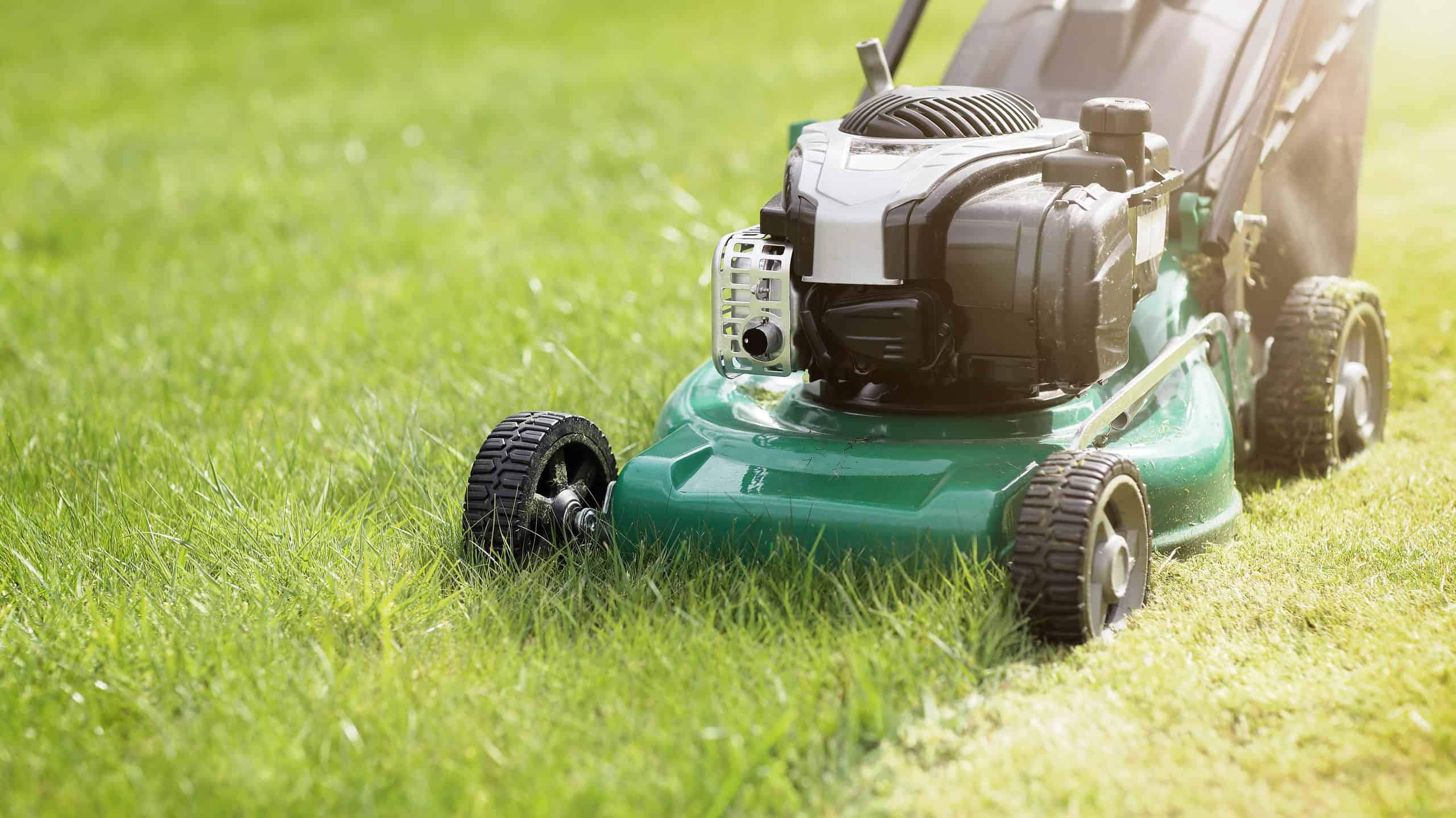 Lawn Mower, Mowing, Yard - Grounds, Lawn, Grass