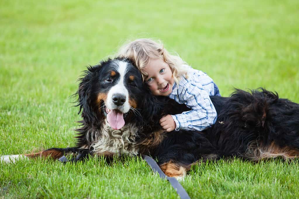 A young girl hugging her dog that's on the grass.